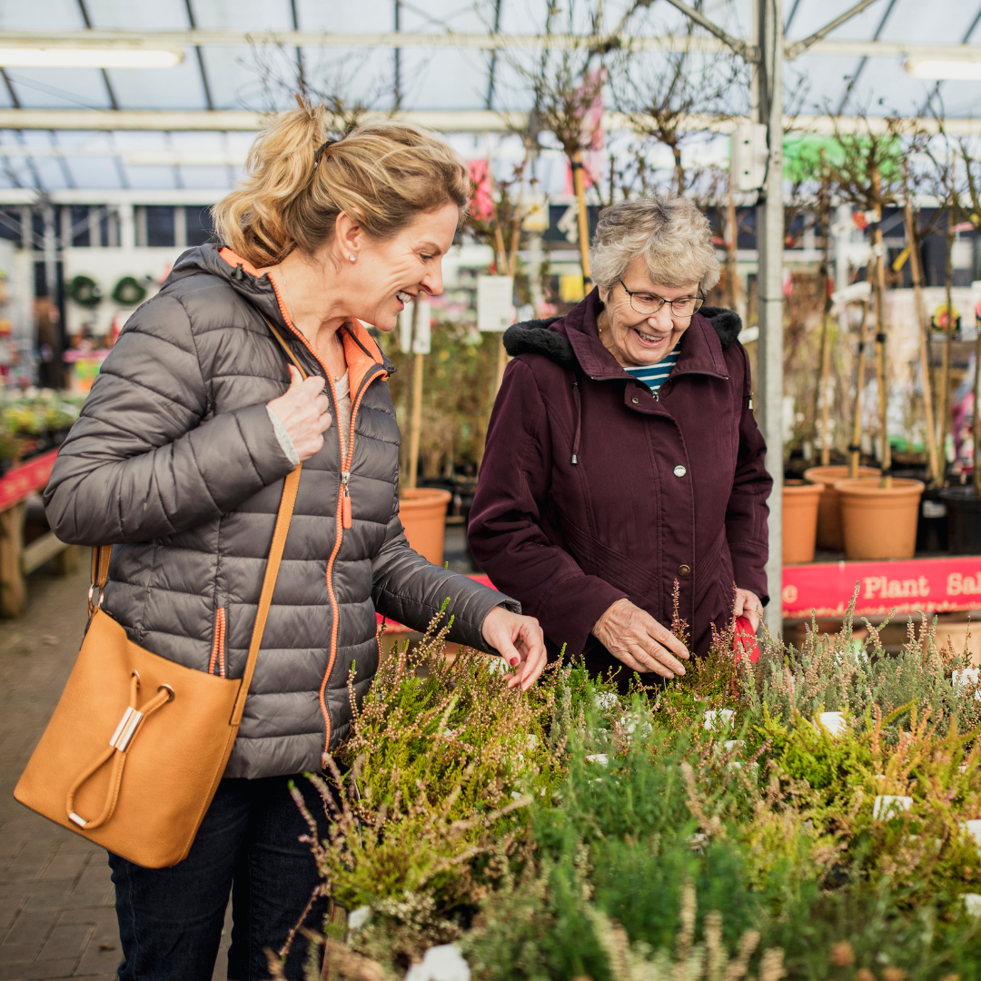 Hamstreet Garden Centre near The Dukes Head pub, featuring seasonal plants, gifts, and a café